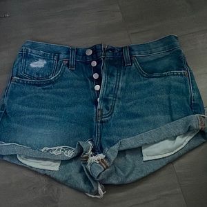 BDG Urban Outfitters Shorts